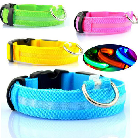 Nylon LED Dog Collar for dog