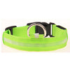 Nylon LED Dog Collar for dog