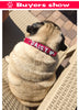 Bling Personalized Pet Dog Collar Rhinestone Customized