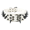 2" Wide Sharp Spiked Studded Leather Dog Collars