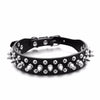 Dog Candy Color Leather Spiked collar