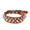 Dog Candy Color Leather Spiked collar