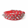 Dog Candy Color Leather Spiked collar